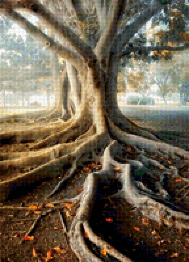 дерево жизни - природа - предпросмотр