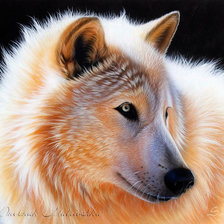 Схема вышивки «№288272»