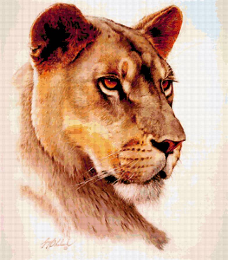 Львица - животные, львы, звери - предпросмотр