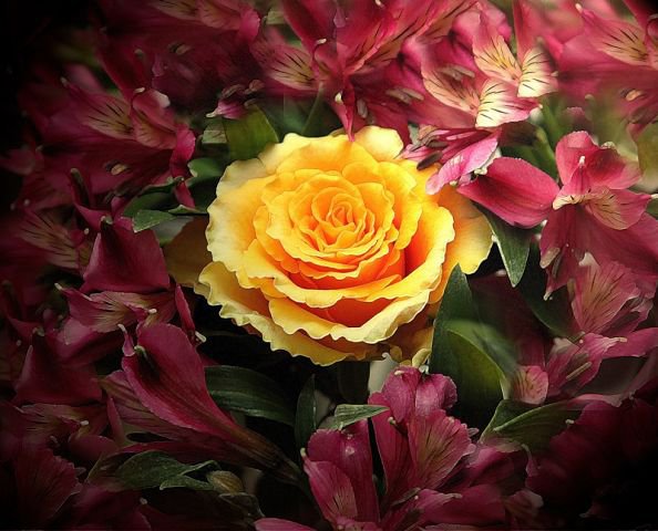 №288474 - оригинал