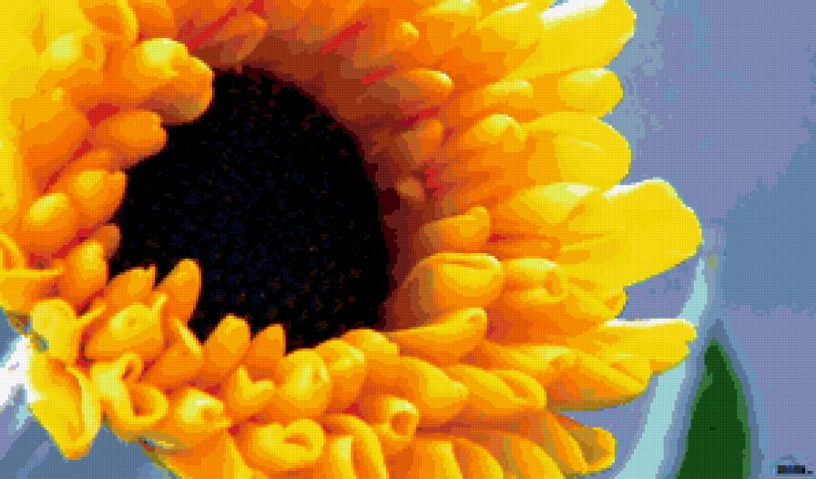 №288501 - цветы, букеты, розы - предпросмотр