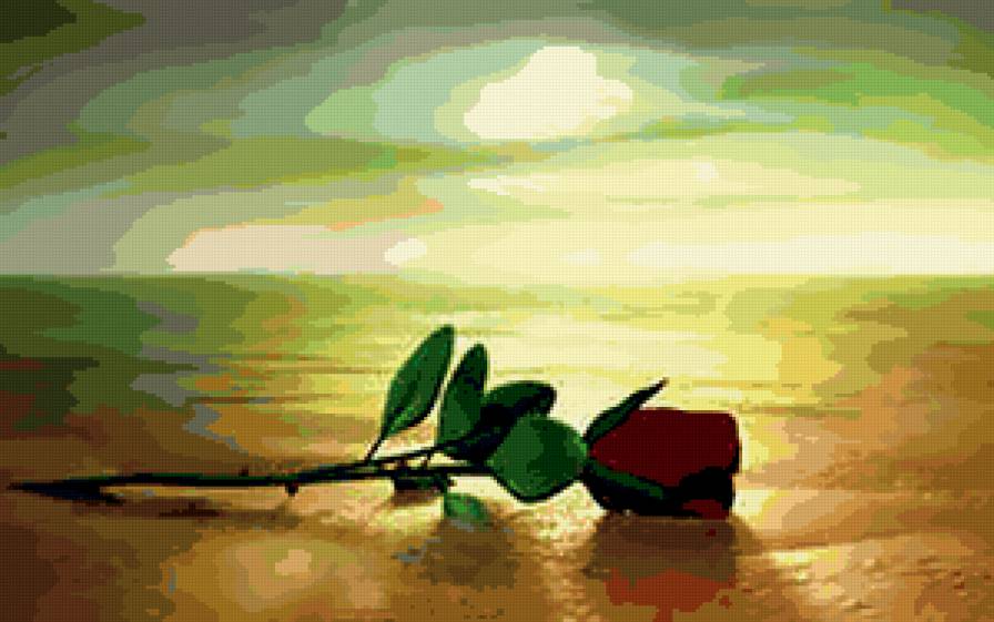 №288564 - букеты, розы, цветы - предпросмотр