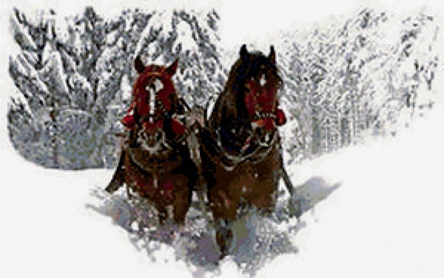 №288615 - животные - предпросмотр