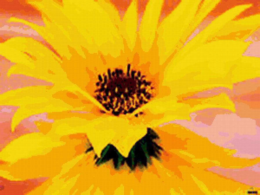 №288649 - букеты, розы, цветы - предпросмотр