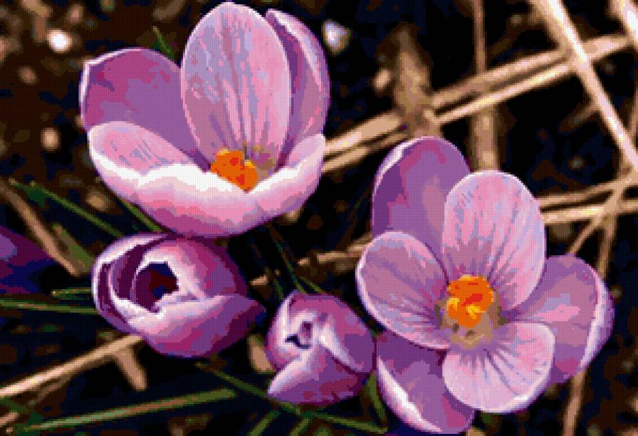 №288658 - цветы, букеты, розы - предпросмотр