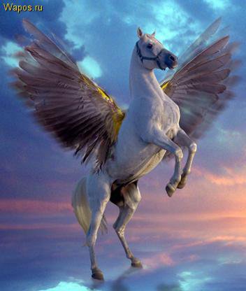 серия "фентези" - фентези, лошадь - оригинал