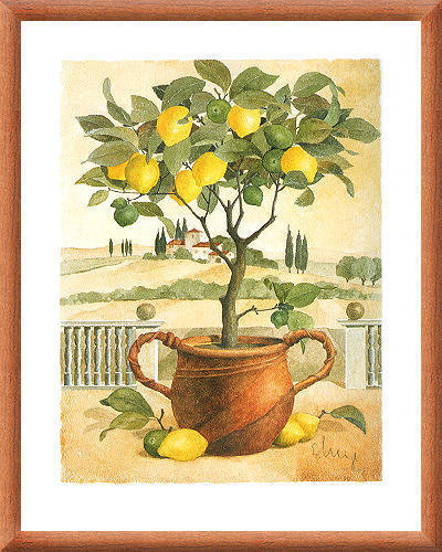 Лимонное дерево - лимон, дерево, цитрус, картина - оригинал