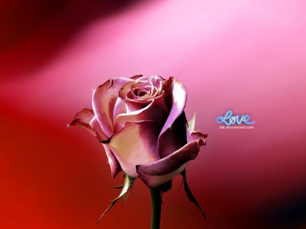 серия "цветы" - цветы, розы - оригинал