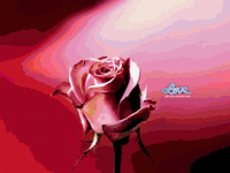 серия "цветы" - розы, цветы - предпросмотр