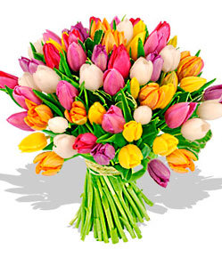 тюльпаны - тюльпан, букет - оригинал
