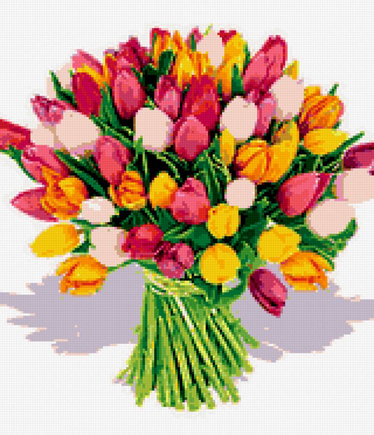 тюльпаны - букет, тюльпан - предпросмотр