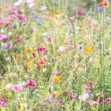 Схема вышивки «Запахло летом...»