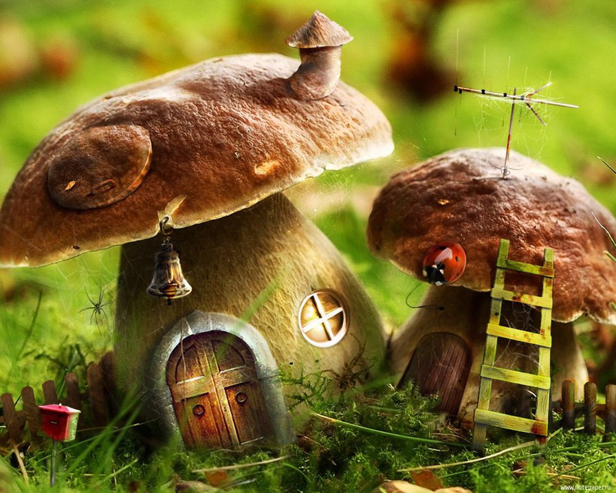 Грибочки - оригинал