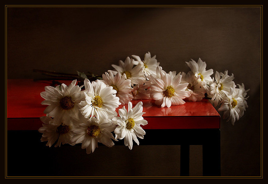 Ромашки - оригинал