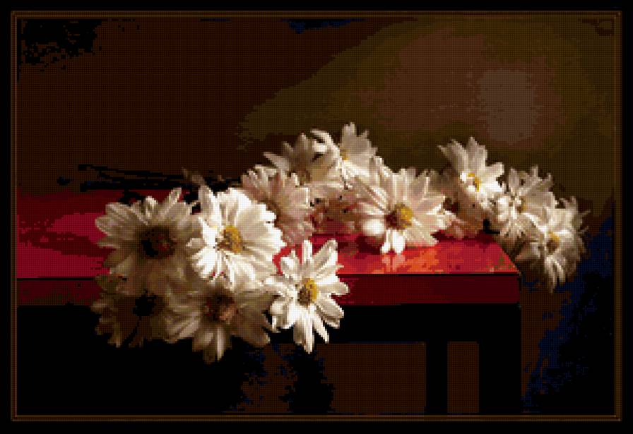 Ромашки - предпросмотр