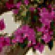Предпросмотр схемы вышивки «Бонсай 2» (№289035)