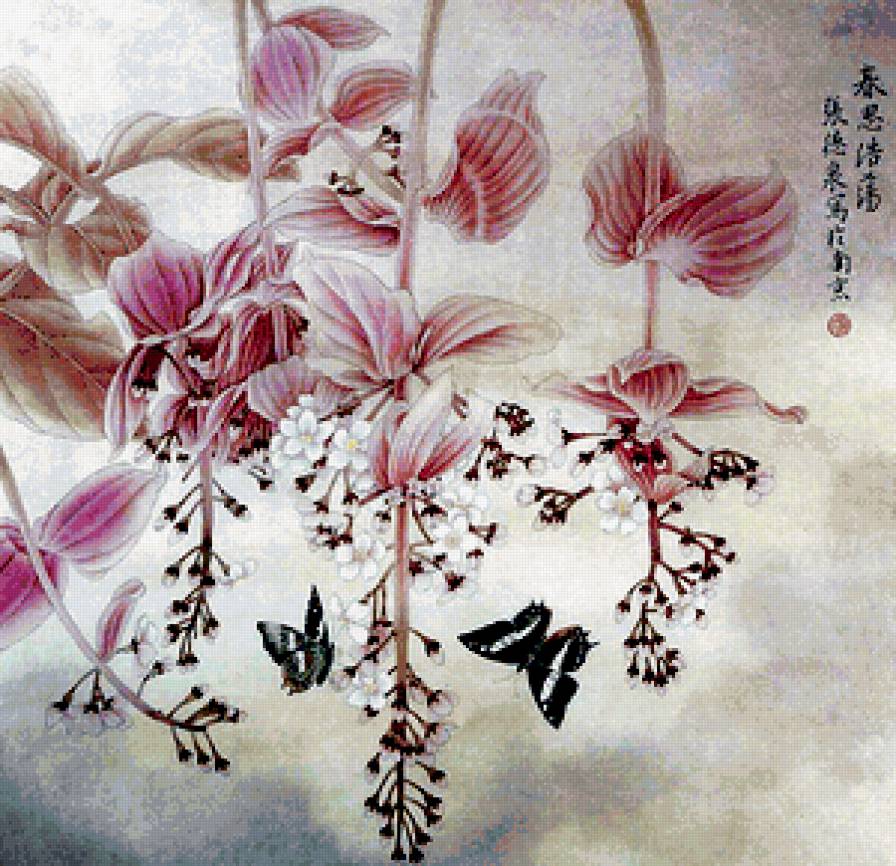 Меденилла - цветы, бабочки - предпросмотр