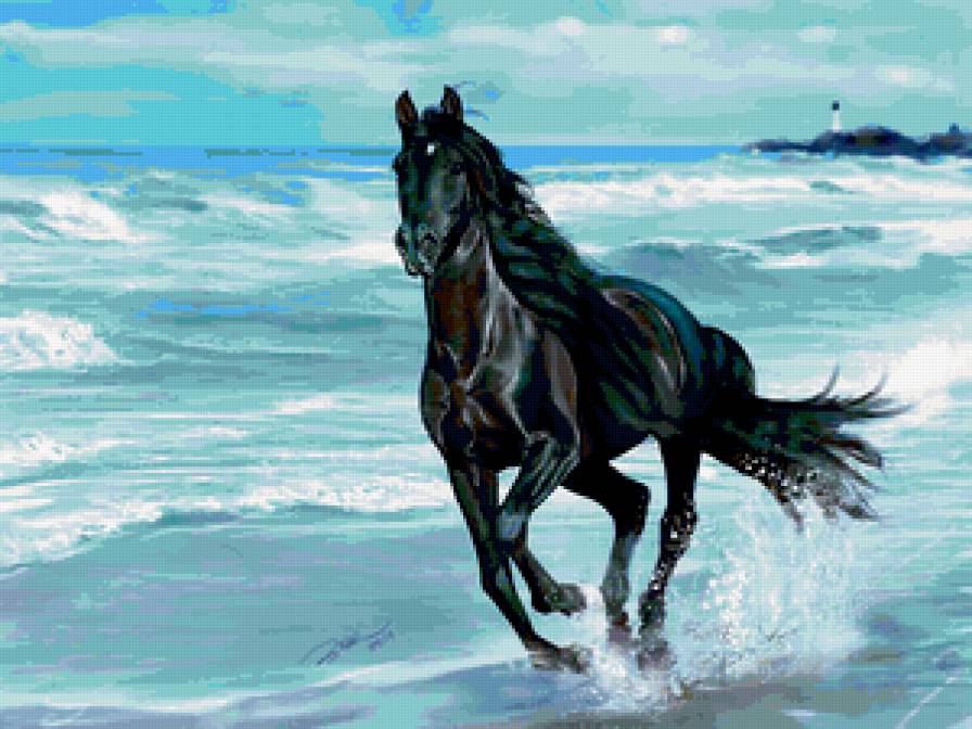 Конь - лошадь, море, животные, конь, природа - предпросмотр