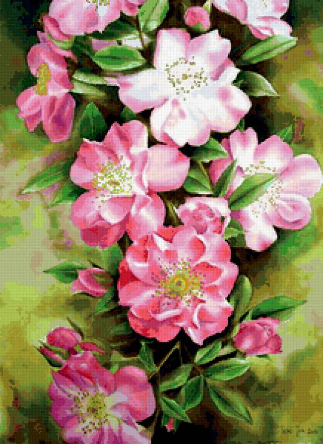 цветы - предпросмотр