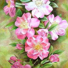 Схема вышивки «цветы»