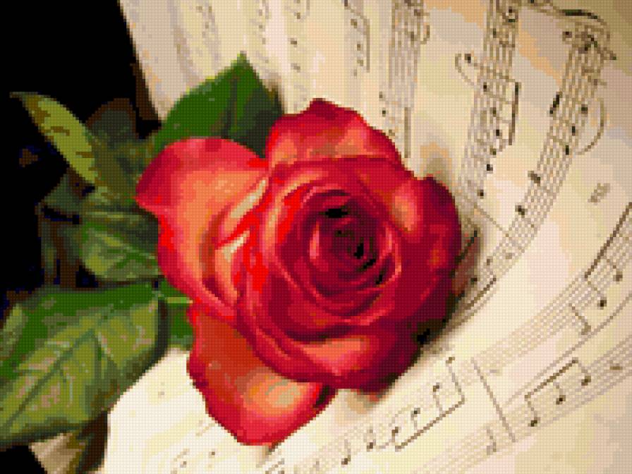 rose and music! - flowers - предпросмотр