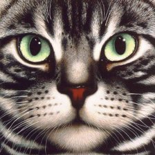 Схема вышивки «котик»