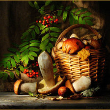 Схема вышивки «№289823»