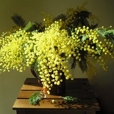 Схема вышивки «мимоза»