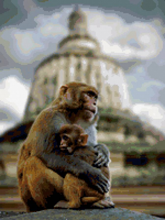 №289917 - животные - предпросмотр