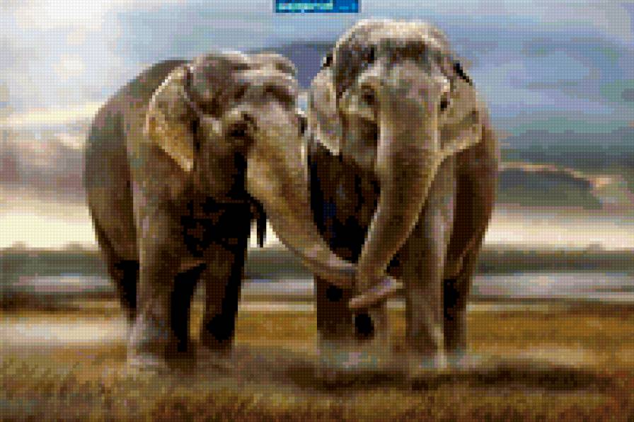 влюбленные слоны - предпросмотр