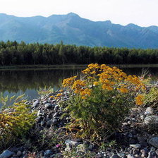 Схема вышивки «пейзаж»