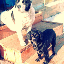 Схема вышивки «№289970»