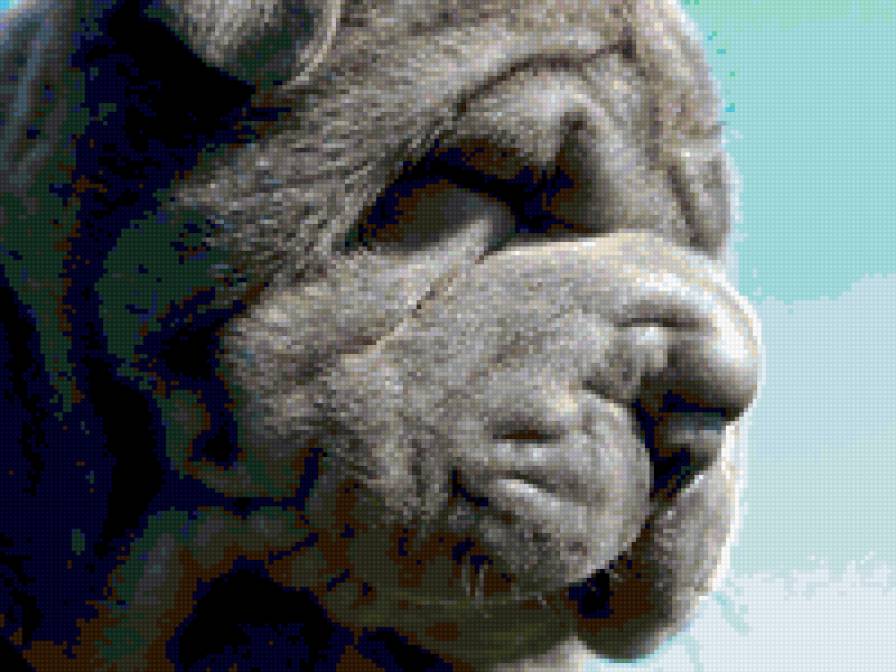 Неаполитанский мастиф - животные - предпросмотр