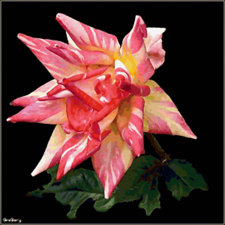 №290416 - предпросмотр