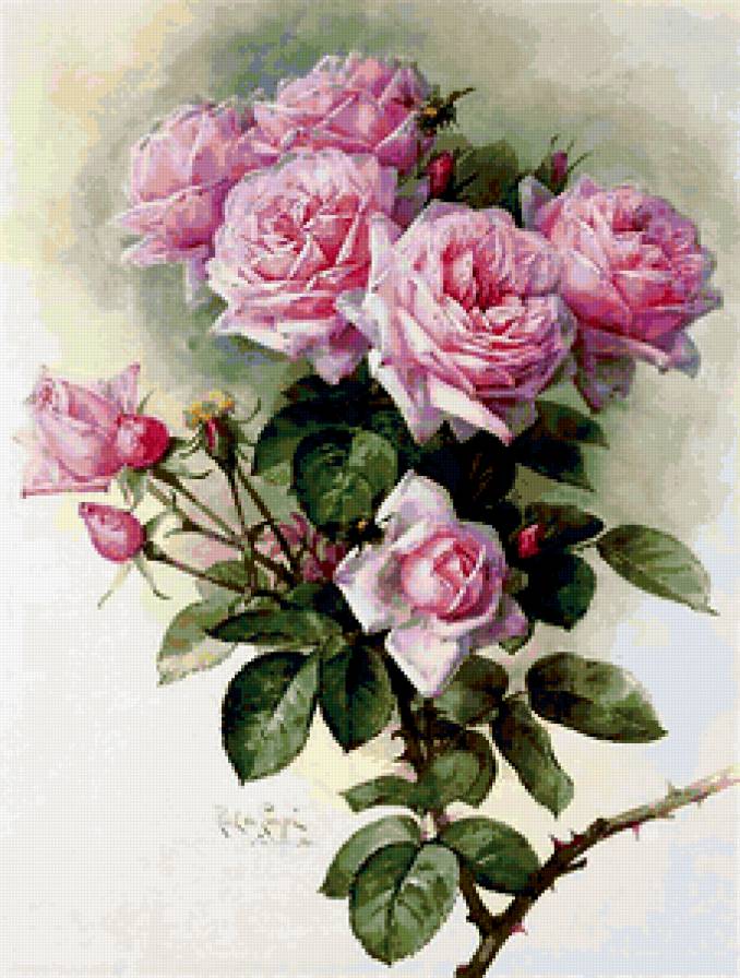 букет"розы" - предпросмотр