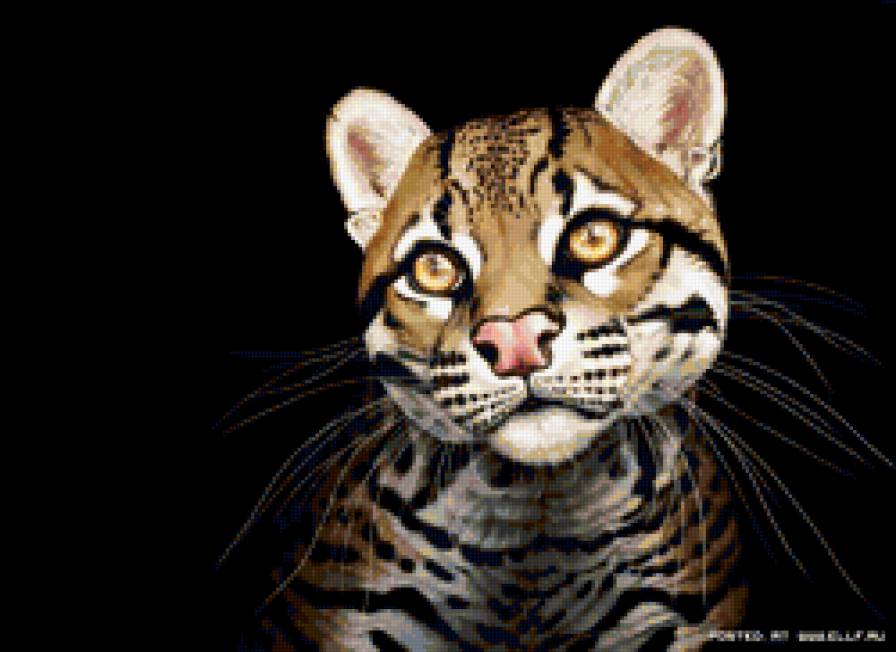 №290487 - картина, кошка - предпросмотр