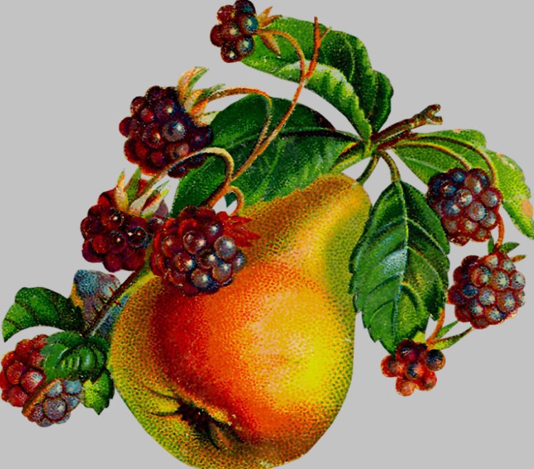 груша - оригинал