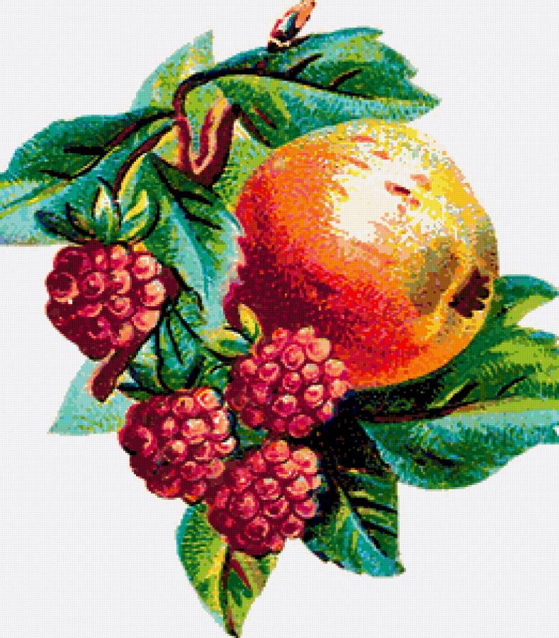 фруктовый аромат - предпросмотр