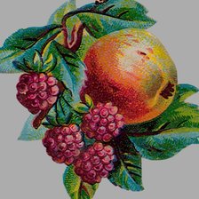 Оригинал схемы вышивки «фруктовый аромат» (№290490)