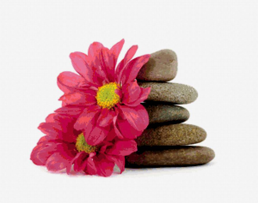 Спа - цветы, spa, камушки - предпросмотр