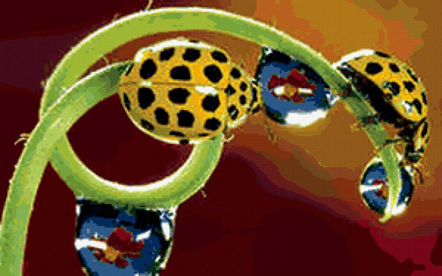 №290593 - природа - предпросмотр