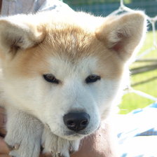 Схема вышивки «Рик»