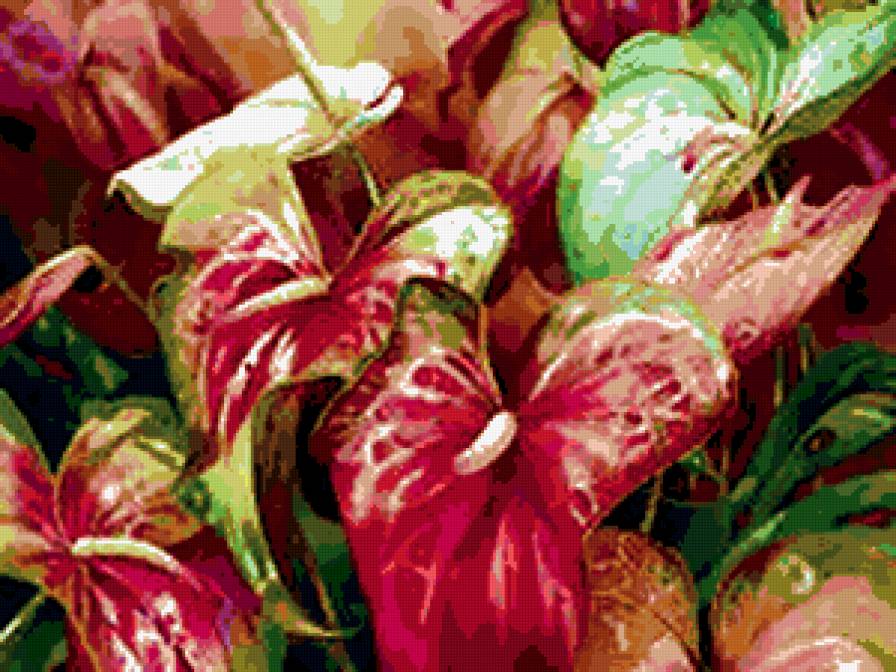 №290728 - цветы, розы, букеты - предпросмотр