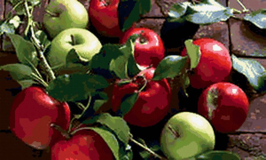 №290759 - природа - предпросмотр