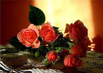 №290793 - розы, цветы, букеты - оригинал