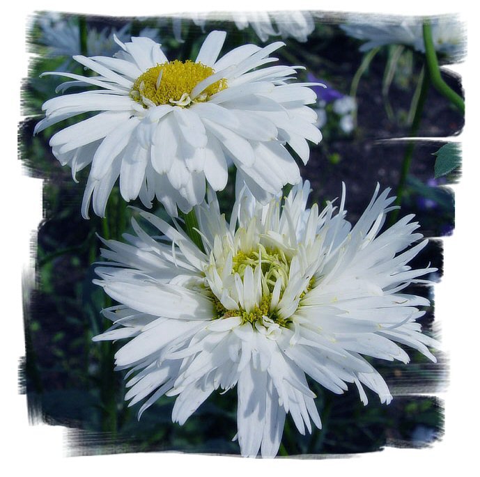 №290884 - оригинал