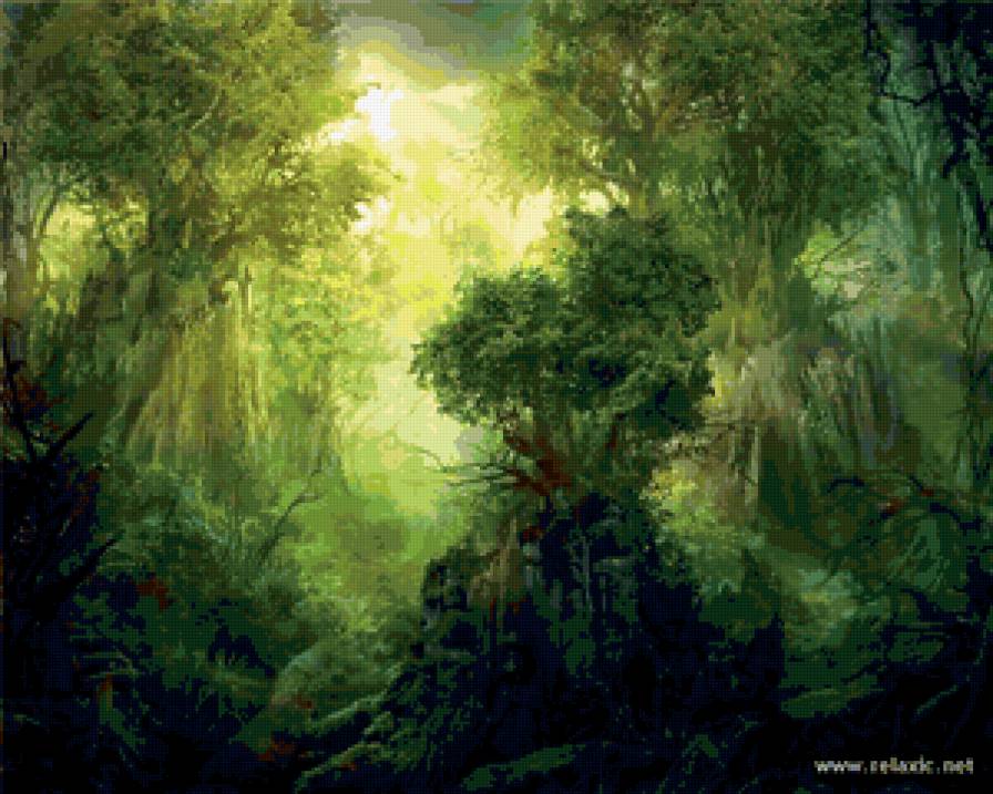 Волшебный лес - лес - предпросмотр