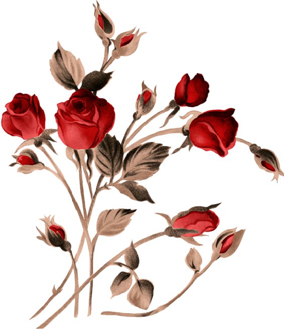 №291077 - оригинал