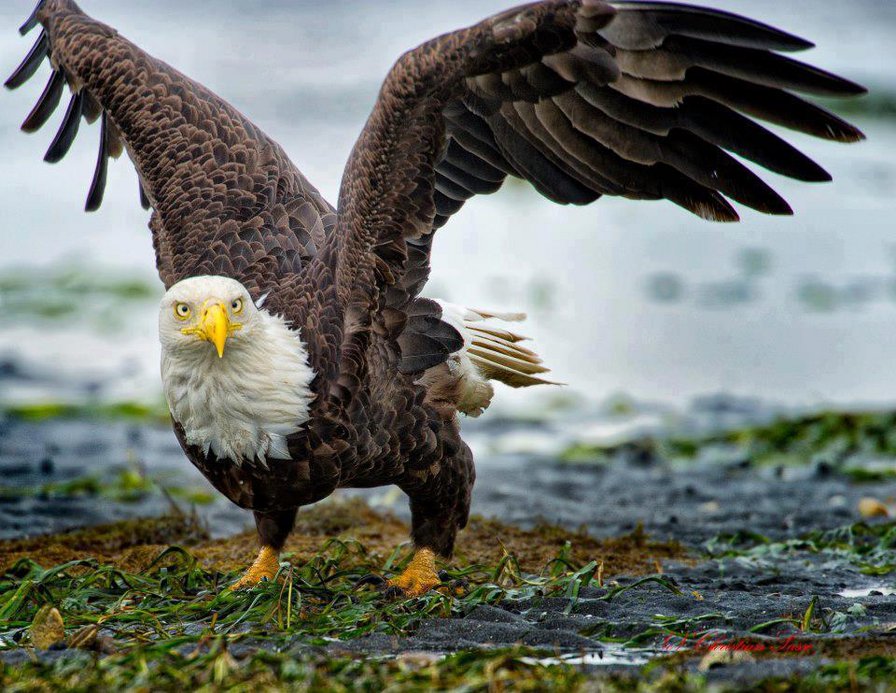 №291122 - оригинал