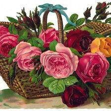розы в корзине